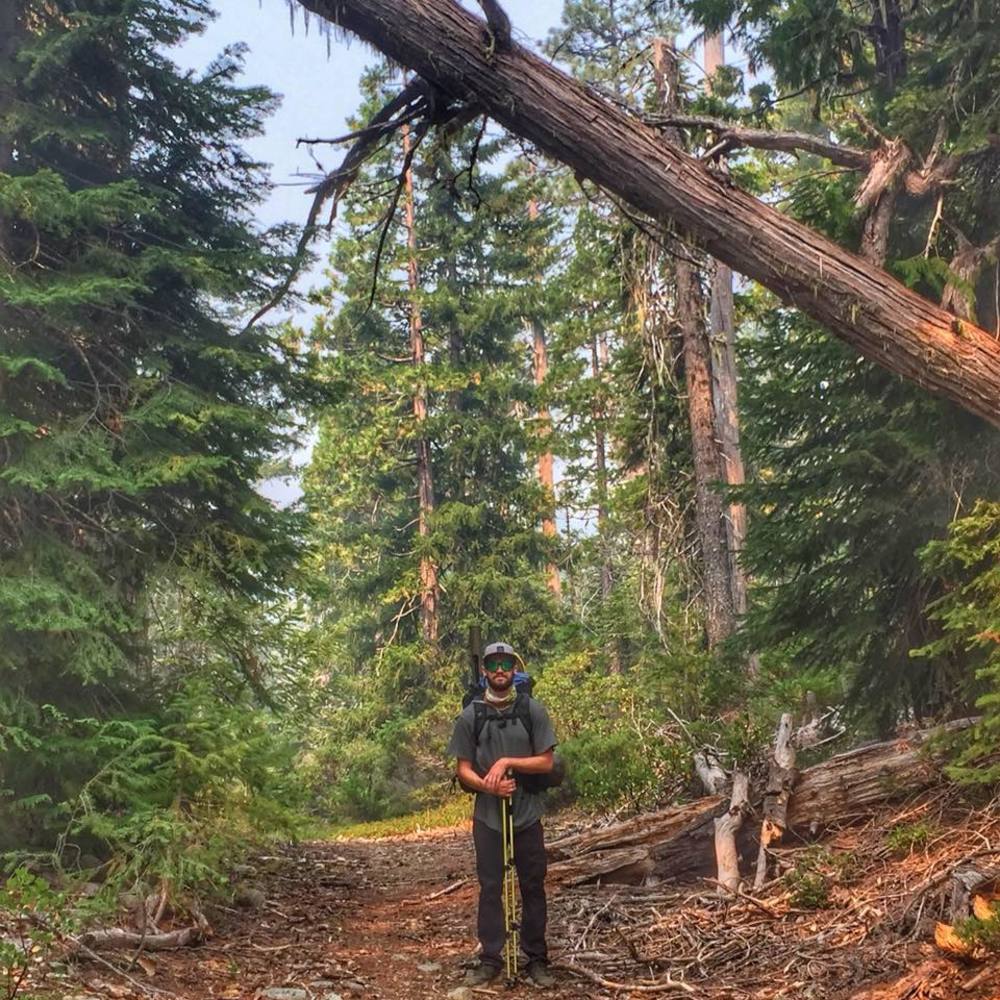 Meet your Posher, Dylan